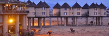 Salt Lick Safari Lodge