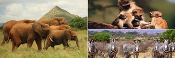 Samburu National Park