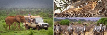 Samburu National Reserve