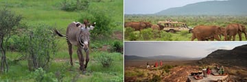 Samburu National Reserve