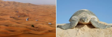 4x4 on the Sand Dunes & Ras Al Jinz turtle