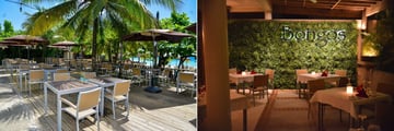 Almond Tree Grill and Bongos Restaurant at Sandy Haven Resort