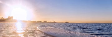 Surf Board on the Santa Monica sea