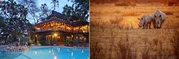 The pool at Sarova Shaba Game Lodge, and rhino at Lake Nakuru