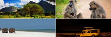 Savannah landscapes, wildlife & night game drive and Mombasa Beach