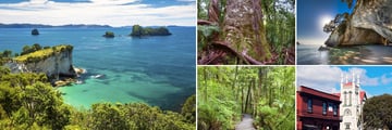 The Corommandel Peninsula, Waipoua Forest & Thames Town Scenery