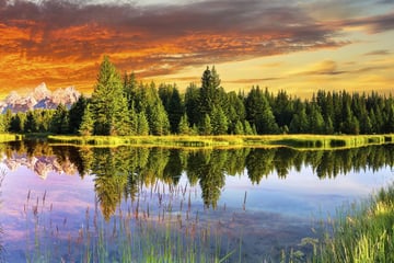 Schwabacher Landing in Grand Teton National Park