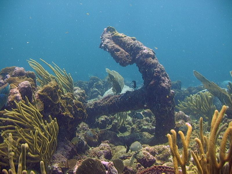 Scuba diving in Tobago