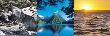 Fiordland National Park Wildlife & Scenery, South Island
