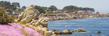 Pacific Grove, Monterey