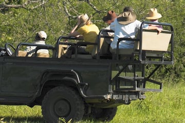 Game drives in South Africa