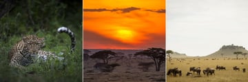Serengeti National Park