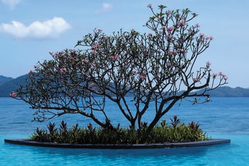 Shangri-La's Tanjung Aru Resort & Spa, Pool