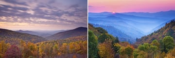 Shanandoah National Park & The Great Smoky Mountains