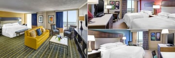 Sheraton Sand Key Resort, Studio Suite, Traditional Two Queen Room Intracoastal View and Premium Ocean Room