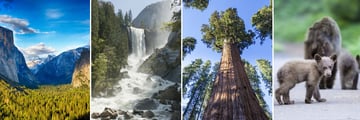 Sights of Yosemite & Sequoia National Parks