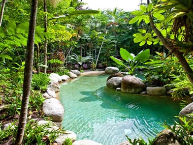 Silky Oaks Lodge pool