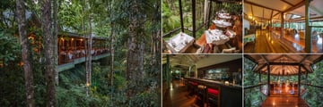 Silky Oaks Lodge, (clockwise from left): Treehouse Restaurant - Exterior, Deck, Interior, Perch and Bar 