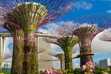 Gardens by the Bay, Singapore