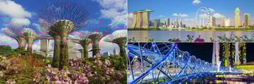 Singapore Gardens, Skyline and Bridge