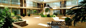 Skyline Hotel & Waterpark, Inner Courtyard Garden