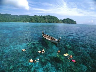 Snorkelling amongst the tropical marine life