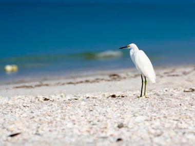 Bonita Springs