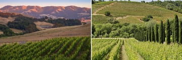 Sonoma Valley