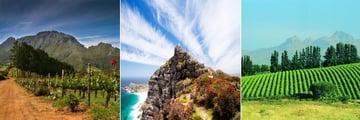 South Africa wine country, Cape Point & Stellenbosch Vineyards