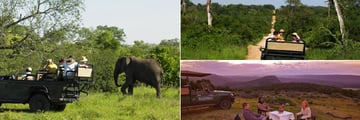 Eastern Cape Safari