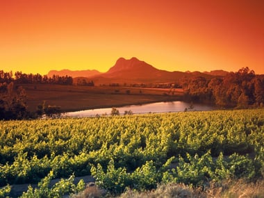 Winelands