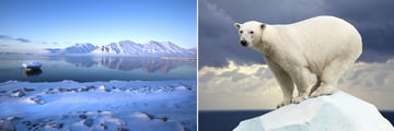 Spitsbergen Mountains & Arctic Polar Bear