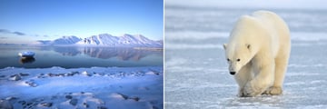 Spirsbergen Mountains & Polar Bear Sighting