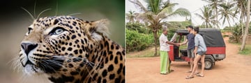 sri lanka