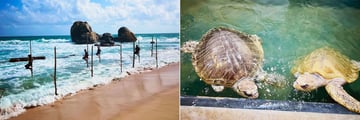 Stilt fishing and the turtle hatchery