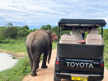 Udawalawe National Park