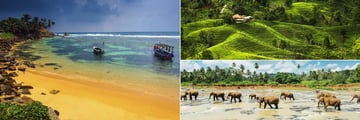 Sri Lankan landscapes