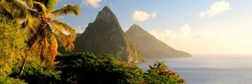 St Lucia flora and Pitons