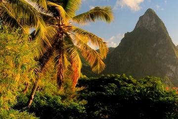 St Lucia flora and Pitons