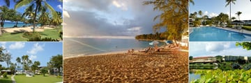 Starfish Grenada Resort, (clockwise from top left): Lawn and Beach, Beach at Sunset, Main Pool, Views of Resort from Lake and Gardens and Pool