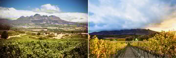 The Winelands