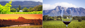 Stellenbosch Vineyards & Winelands