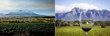 Stellenbosch Vineyards, Western Cape