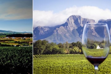 Stellenbosch Vineyards, Western Cape