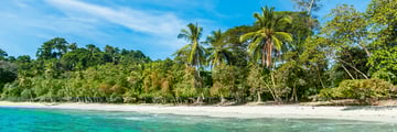 Stunning Costa Beach and Rainforest Scenery
