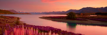 Stunning Lake Tekapo scenery at sunset, New Zealand