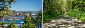 Stunning scenery on Vancouver Island