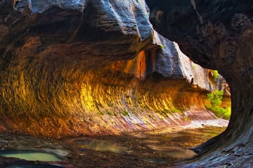 Subway Pool in Zion National Park