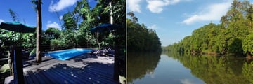 The pool and river at Sukau Rainforest Lodge