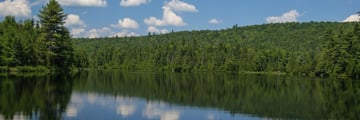 Summer at Algonquin Provincial Park